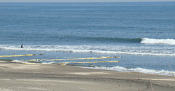 110311eagle1.jpg