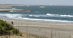 110317eagle1.jpg
