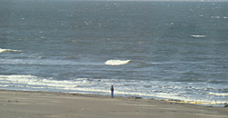 110317eagle2.jpg