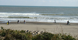 110326taito1.jpg