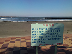 110327taito2.jpg