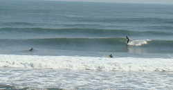 110329taito1.jpg