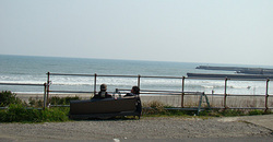110330taito1.jpg