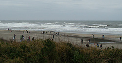 110403eagle1.jpg