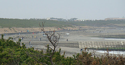 110403eagle2.jpg