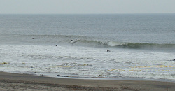 110411eagle1.jpg