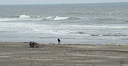 110418eagle1.jpg