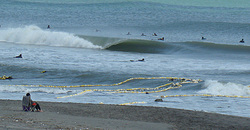 110425eagle1.jpg