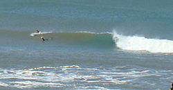 110428eagle1.jpg