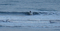 110429pm-taito1.jpg