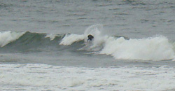 110506pm-eagle1.jpg