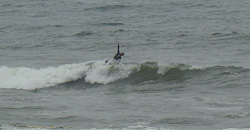 110506pm-eagle2.jpg