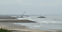 110616eagle1.jpg