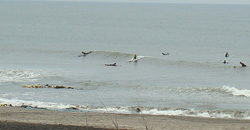 110620eagle1.jpg