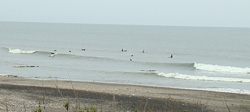 110620eagle2.jpg