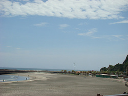 110628taito1.jpg