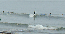 110702eagle1.jpg