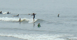 110702eagle2.jpg
