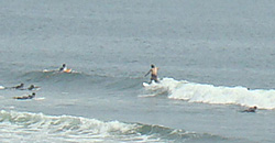 110703eagle1.jpg