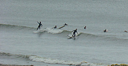 110705eagle1.jpg
