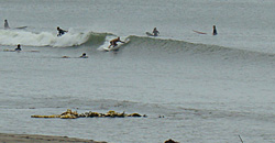 110705eagle2.jpg