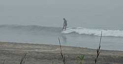 110706pm-taito1.jpg