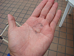 110706pm-taito2.jpg