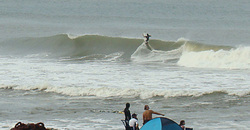110808pm-eagle1.jpg