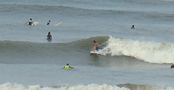 110808pm-taito2.jpg