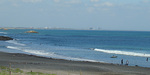110914eagle1.jpg