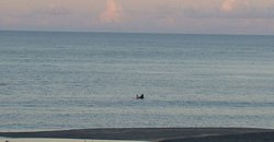 110915pm-taito1.jpg