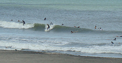110917eagle1.jpg