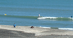 110918eagle2.jpg