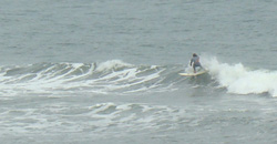 110920eagle1.jpg