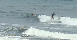 110920eagle2.jpg
