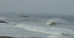 110930pm-shida.jpg