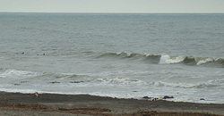 111006eagle1.jpg