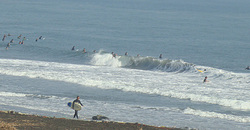 111010eagle1.jpg