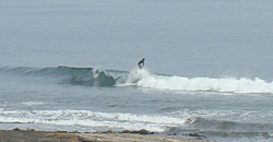 111013eagle1.jpg