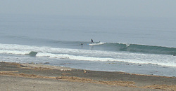 111013eagle2.jpg