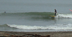 111015pm-taito1.jpg