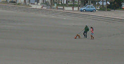 111019pm-taito1.jpg