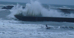 111020pm-taito1.jpg