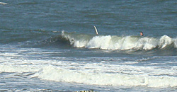 111028eagle1.jpg