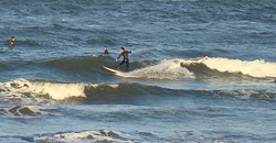 111028pm-taito1.jpg