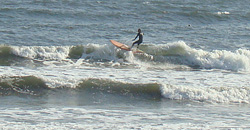 111029taito1.jpg