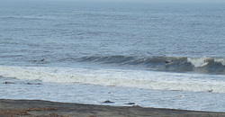 111031eagle1.jpg