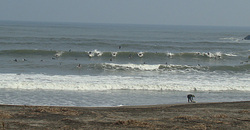 111104taito2.jpg