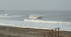 111105pm-eagle1.jpg