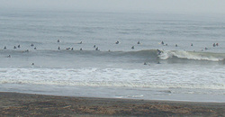 111105taito1.jpg